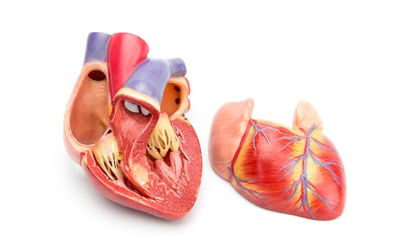 病毒性心肌炎后遺癥