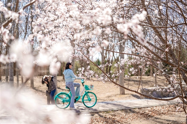 五一假期物品遺失增幅顯著：滴滴客服找回2.3萬件 手機占比高