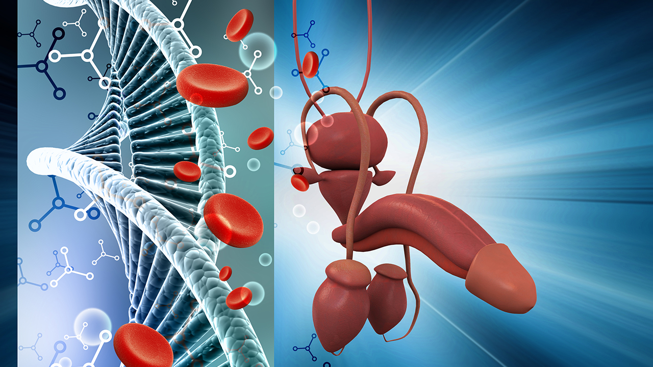 常見的早泄治療方法有哪些