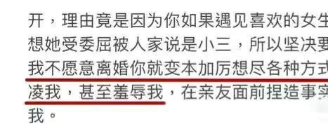 王力宏李云迪事件整個過程 24