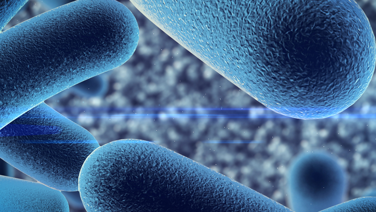 鼻竇炎是過敏性鼻炎嗎