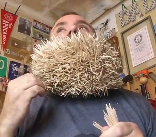 男子胡子插入600根燒烤簽子創(chuàng)吉尼斯世界紀(jì)錄 下巴變刺猬