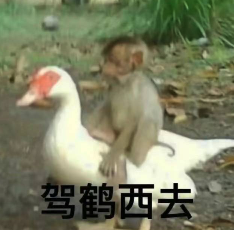 百度副總短視頻背后 其實還有個很深的套路