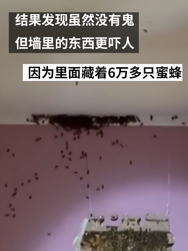 三歲女孩總說(shuō)墻里有鬼：專業(yè)人士來(lái)了也被嚇一跳！