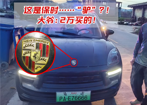 要啥沒啥：大爺2萬元買“保時驢”上路被查