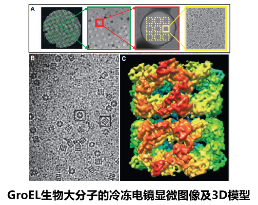 下棋下哭柯潔的DeepMind 又要讓生物界大地震