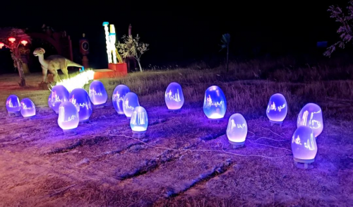 “燈火闌珊處·萬年水洞溝”寧夏夜游新品牌隆重登場！