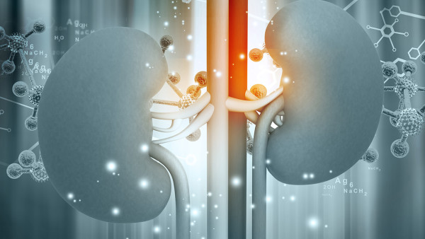 得尿毒癥是啥指標(biāo)高