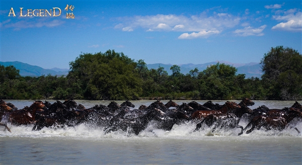 成龍、娜扎等主演！《神話》續(xù)集電影《傳說》定檔：7月12日上映
