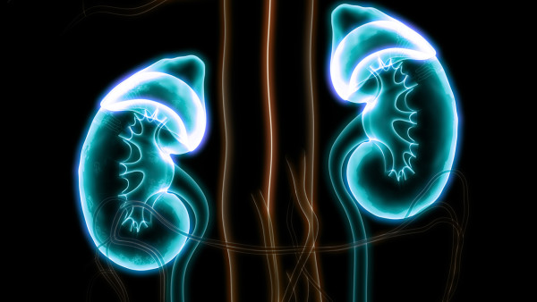 怎樣知道腎性貧血