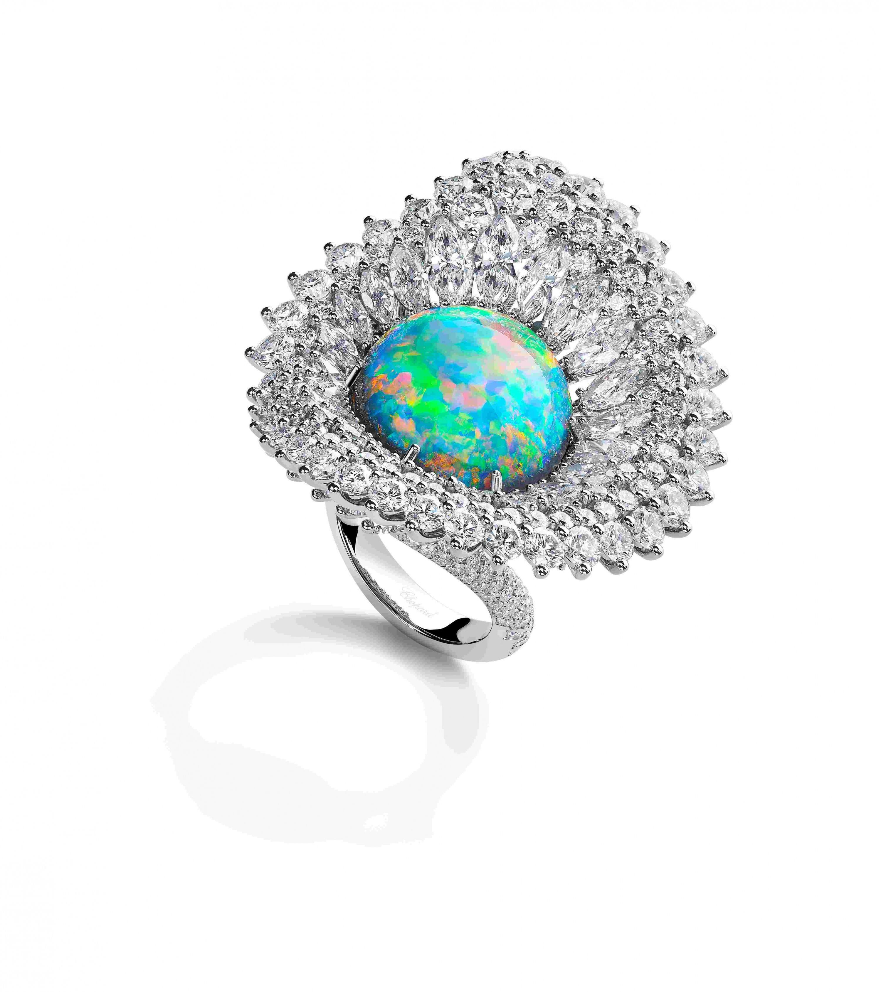 2024年Red Carpet系列 童話故事世界