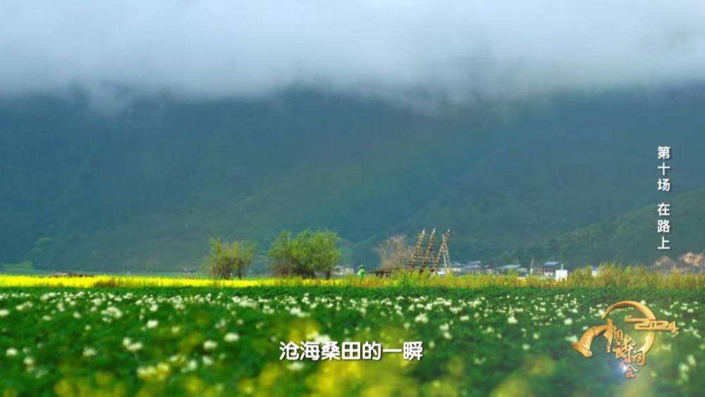 《2024中國(guó)詩(shī)詞大會(huì)》圓滿收官 我們一直“在路上”