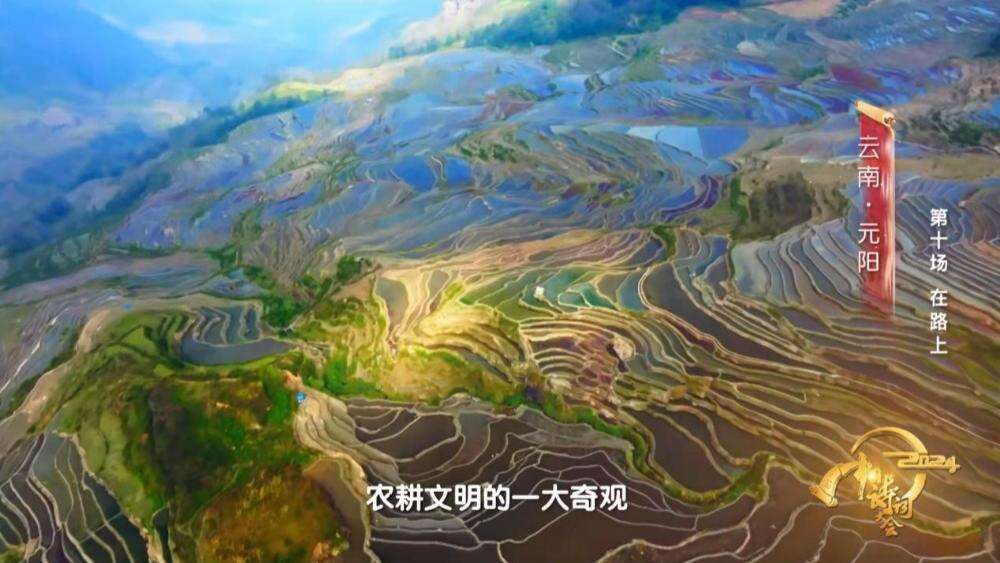 《2024中國(guó)詩(shī)詞大會(huì)》圓滿收官 我們一直“在路上”