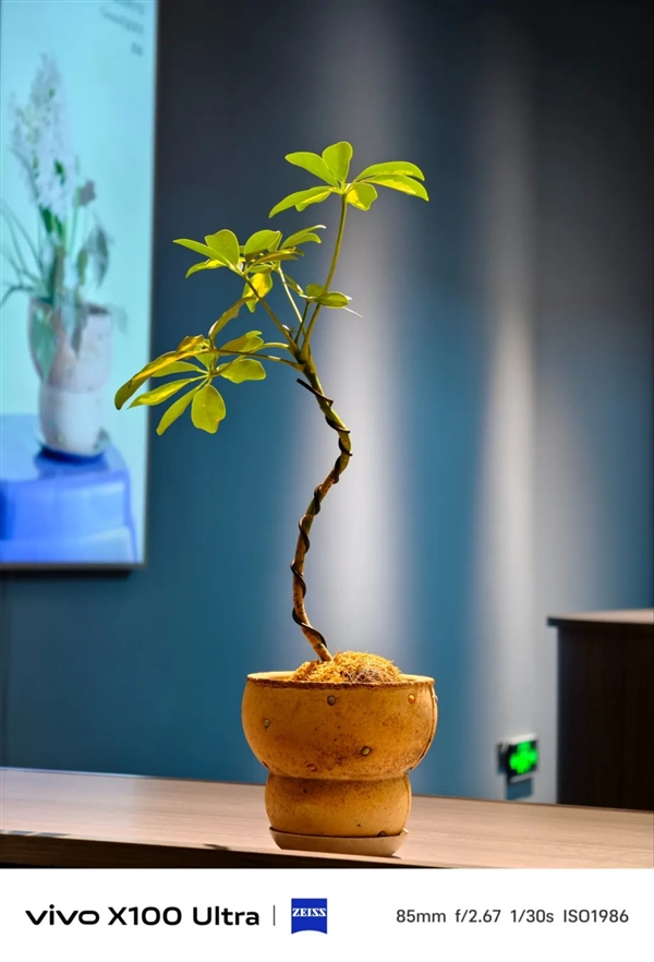 體驗完vivo X100 Ultra 我覺得藍廠說它滅霸還是保守了