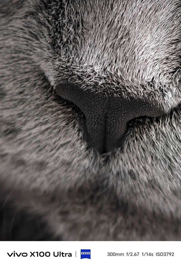 體驗完vivo X100 Ultra 我覺得藍廠說它滅霸還是保守了