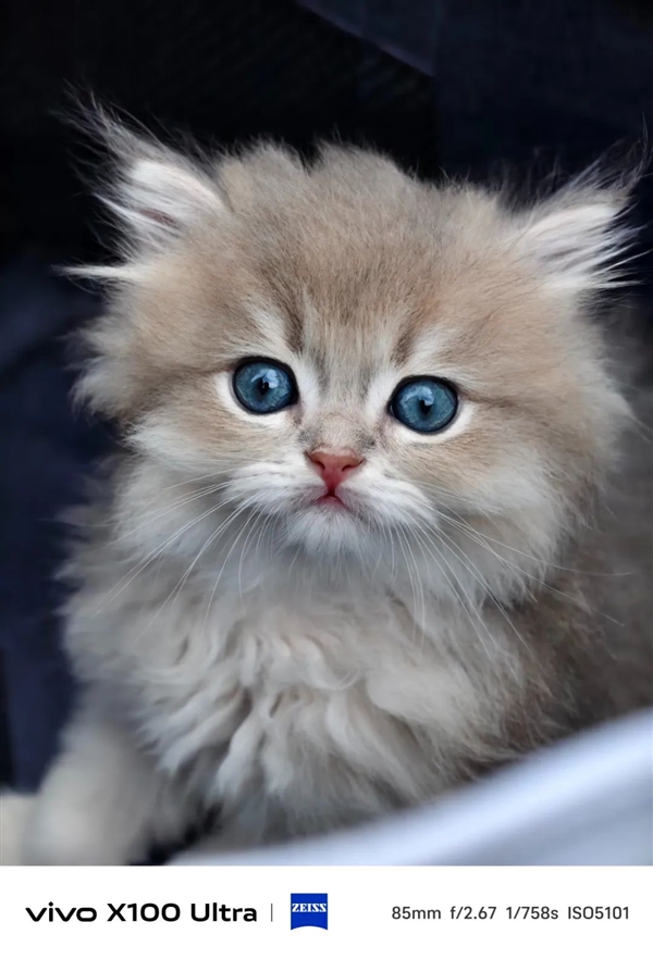 體驗完vivo X100 Ultra 我覺得藍廠說它滅霸還是保守了