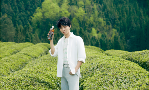 貴山貴水出好茶丨楊洋王俊凱先后溯源金塵茶貴州萬(wàn)畝茶園