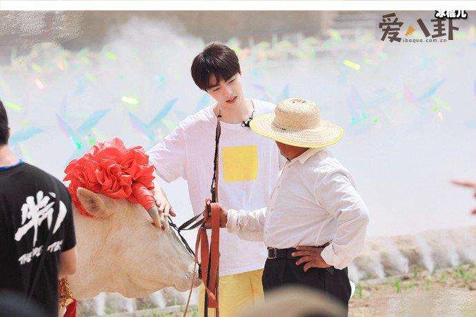 陳立農(nóng)腿受傷,牛氣滿滿的哥哥