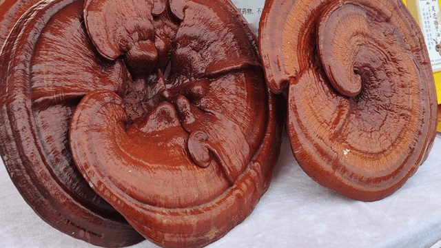 2024阜平紅色超級(jí)馬拉松鳴槍開跑