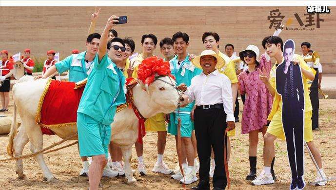 牛氣滿(mǎn)滿(mǎn)的哥哥定檔