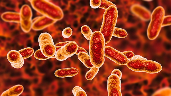 小孩感冒咳嗽抽搐不發(fā)熱