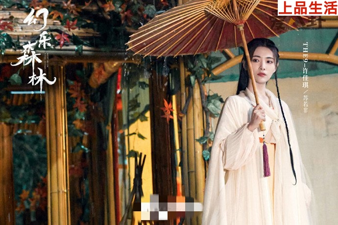 許佳琪幻樂森林海報