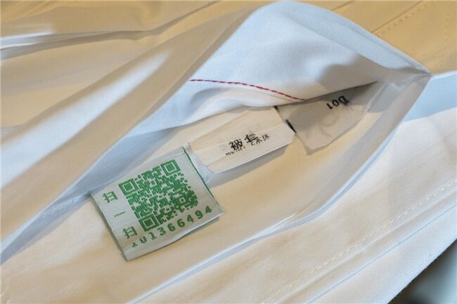 龍舟花燈船、非遺游園會、限定五黃宴……烏鎮(zhèn)景區(qū)端午活動上新