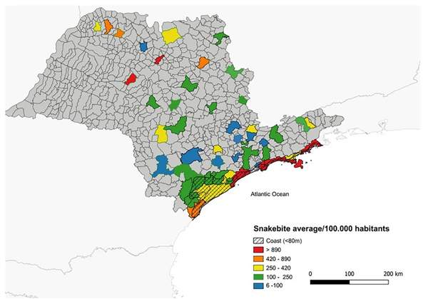 他踩了4萬次毒蛇 終于知道了蛇什么時候會咬人