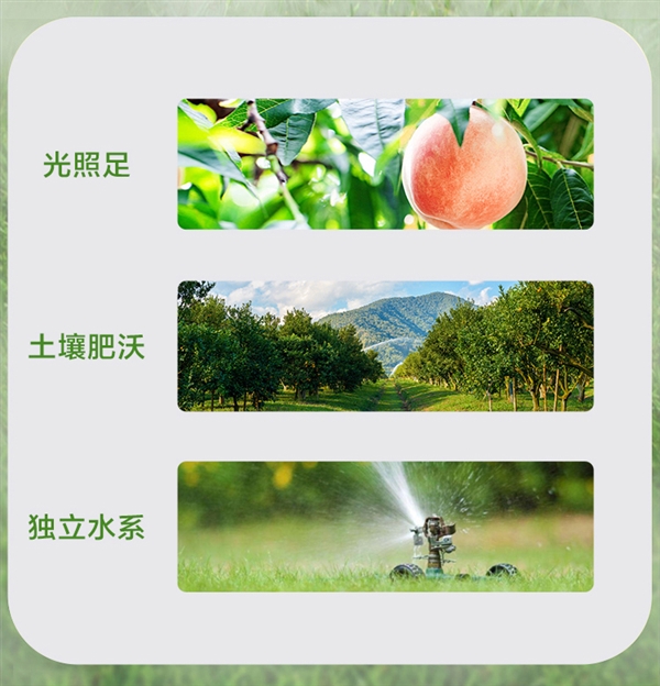 四種口味冰箱常備！匯源100%果汁大促：1升只賣9.9元