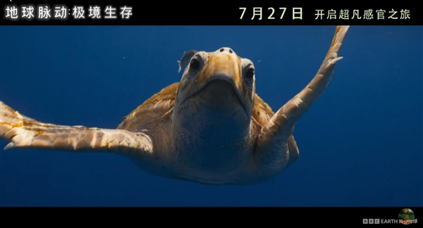 豆瓣9.7分紀(jì)錄片天花板！《地球脈動(dòng)》首部大電影國內(nèi)定檔7月27日：預(yù)告片發(fā)布