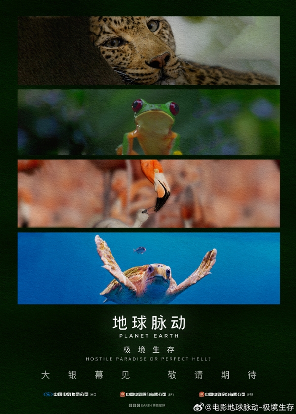 豆瓣9.7分紀錄片天花板！《地球脈動》首部大電影國內定檔7月27日：預告片發(fā)布