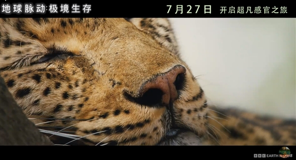 豆瓣9.7分紀(jì)錄片天花板！《地球脈動(dòng)》首部大電影國內(nèi)定檔7月27日：預(yù)告片發(fā)布