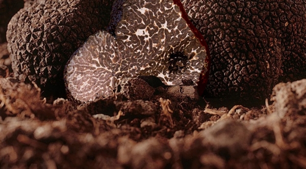 40元優(yōu)惠券：大耳牛黑松露牛排蘇打餅干110g*5袋到手16.9元