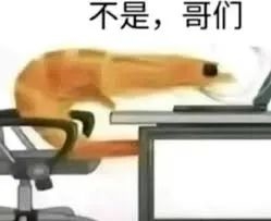 連載30年后 《圣斗士星矢》終于要完結(jié)了？