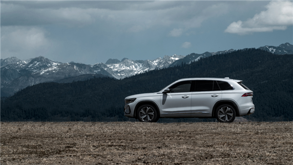 中國汽車工業(yè)內(nèi)卷全球第一：到底是好還是壞