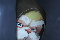 IGN滿分動畫續(xù)作！《英雄聯(lián)盟：雙城之戰(zhàn)》第二季全新片段發(fā)布