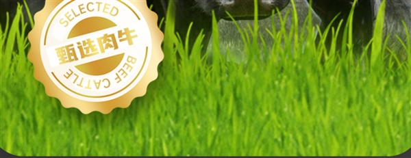 巴西進(jìn)口 牛和正原切牛排129元2.4斤狂促（送醬料、減170元）