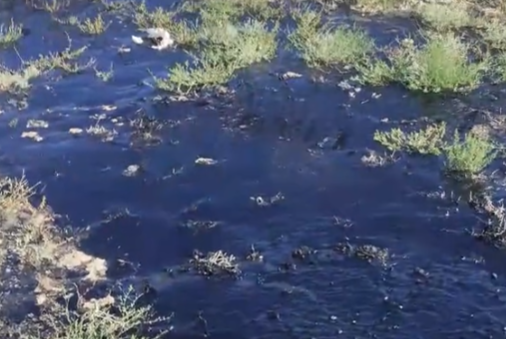 發(fā)財了！男子旅游時意外發(fā)現(xiàn)石油：專家將實地調(diào)查