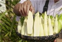 現(xiàn)在正上市！它是蔬菜界的“水中參” 很多北方人都沒吃過