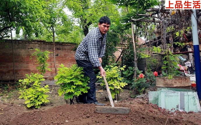 大衣哥農(nóng)作照片