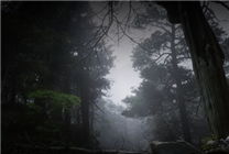 玩家曬《黑神話：悟空》2幀跑分截圖 網(wǎng)友銳評：為什么用磚頭測