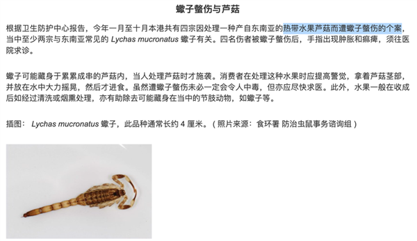 像龍眼、小土豆 貴族水果我打賭很多人都沒見過