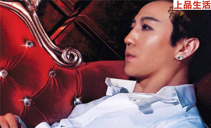 歌手劉佳曾被稱音樂才子