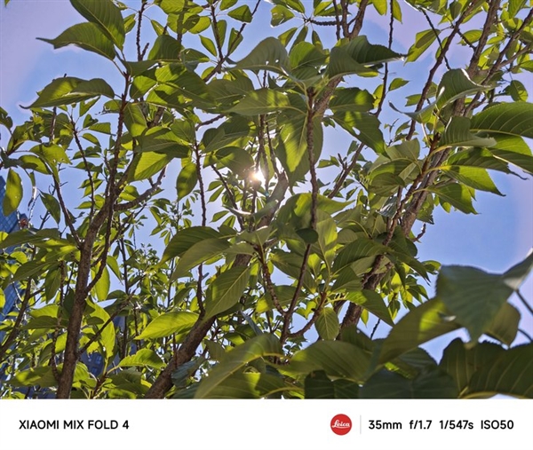 手機(jī)影像進(jìn)階的秘密武器：徠卡之外 小米還有個(gè)大招被低估了