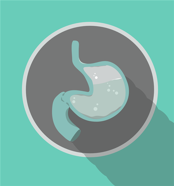 人類曾是成功的腐食者：你的胃酸可以證明