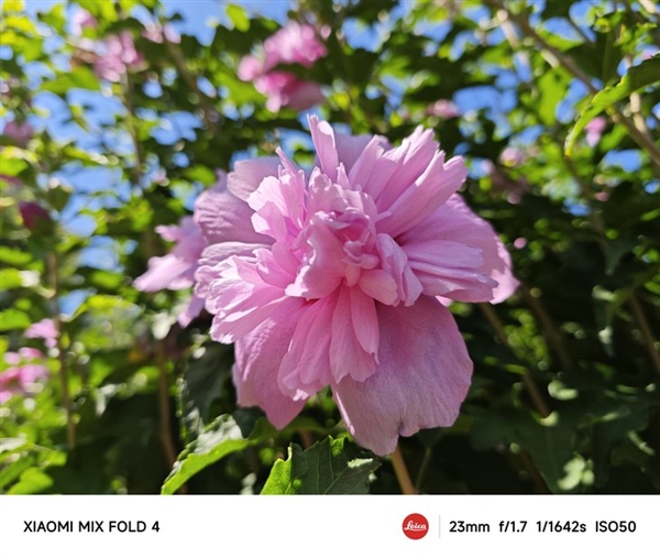 手機(jī)影像進(jìn)階的秘密武器：徠卡之外 小米還有個(gè)大招被低估了