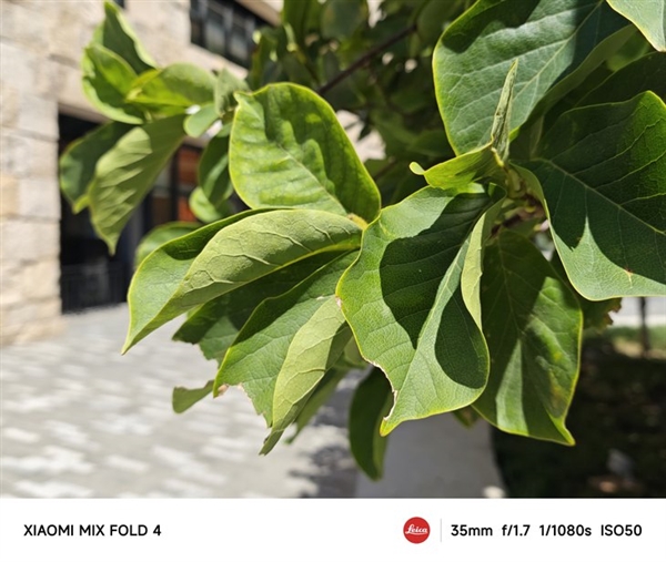 手機(jī)影像進(jìn)階的秘密武器：徠卡之外 小米還有個(gè)大招被低估了