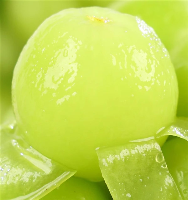 水果自由了！淘工廠產(chǎn)地直銷：陽光玫瑰5斤34.9元、軟籽石榴4.5斤20.9元