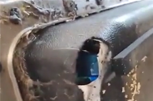 老鼠咬壞新能源車電池箱不保修：外界造成、維修需花8萬多