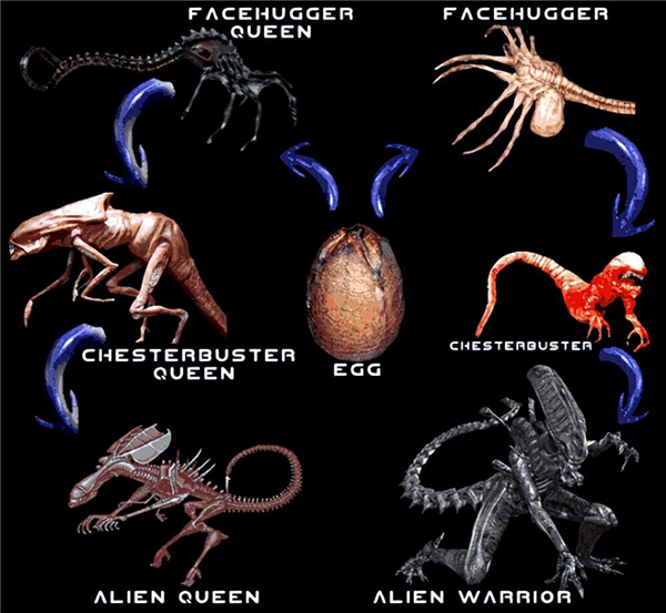 45年了！異形還是能把人類嚇出陰影